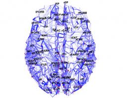 BRAIN_MAP