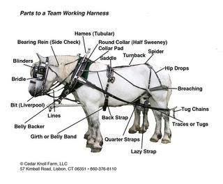 Harness-parts